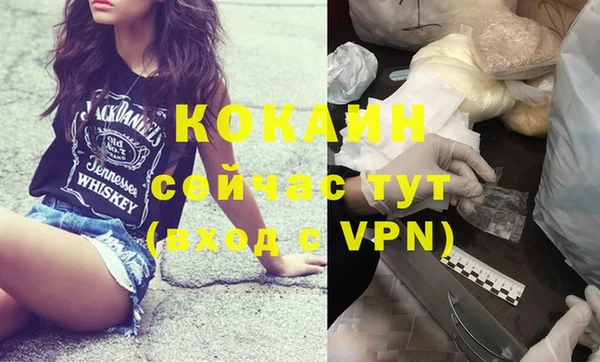 дживик Кулебаки