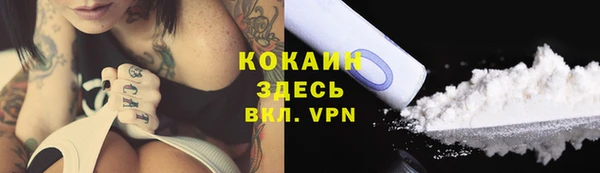 дживик Кулебаки