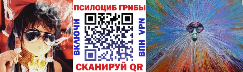 Галлюциногенные грибы Psilocybe  Купить  Харовск 